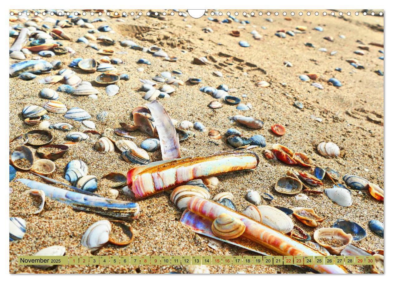 Bild: 9783435117307 | Holland - Die Nordsee von Zandvoort bis Breskens (Wandkalender 2025...