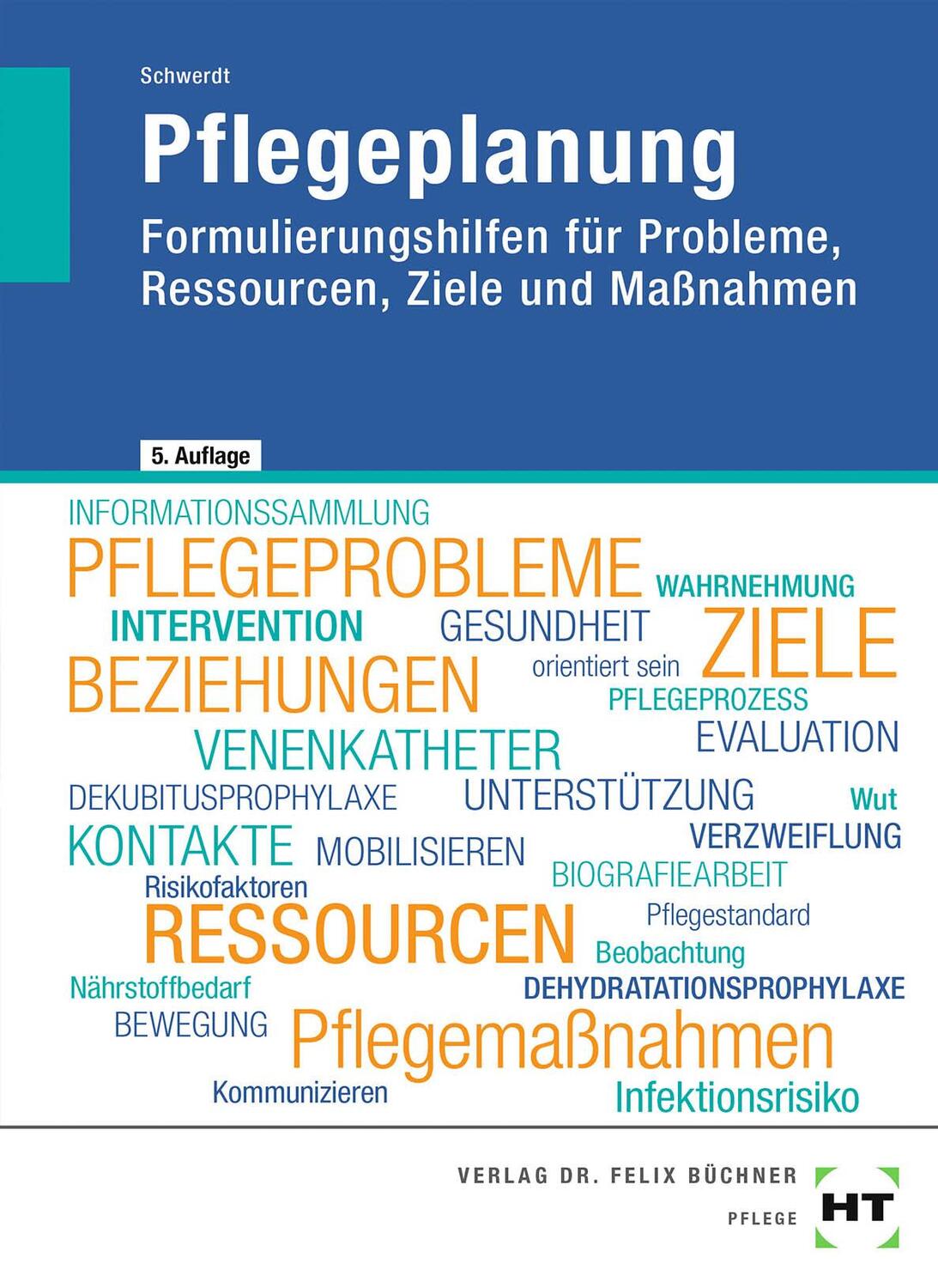 Cover: 9783582401267 | Pflegeplanung | Christine Schwerdt | Taschenbuch | Deutsch | 2022