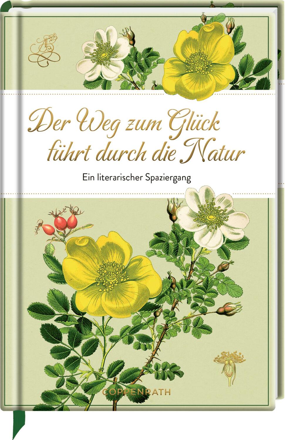 Cover: 9783649645894 | Der Weg zum Glück führt durch die Natur | Buch | 160 S. | Deutsch