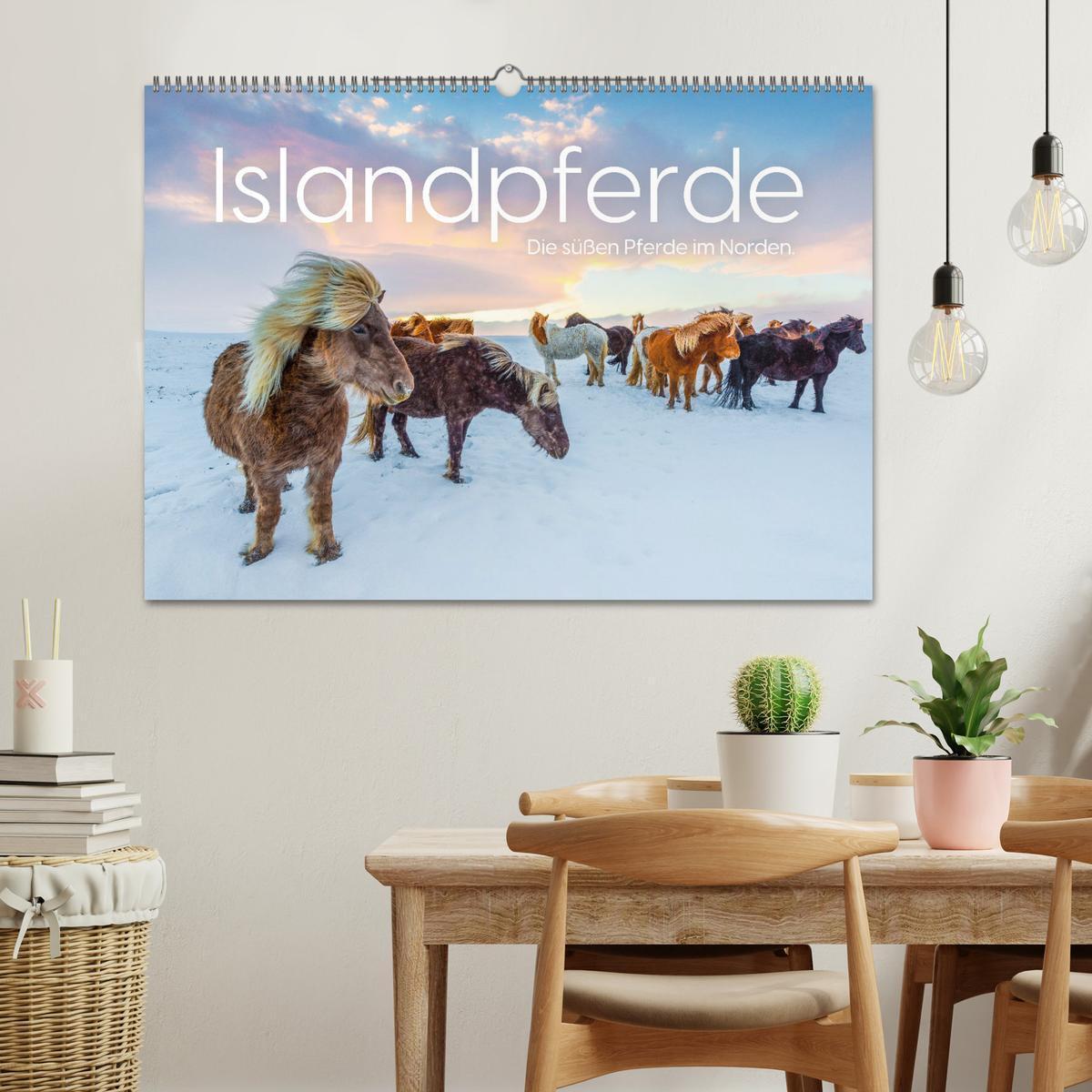 Bild: 9783457181560 | Islandpferde - Die süßen Pferde im Norden. (Wandkalender 2025 DIN...