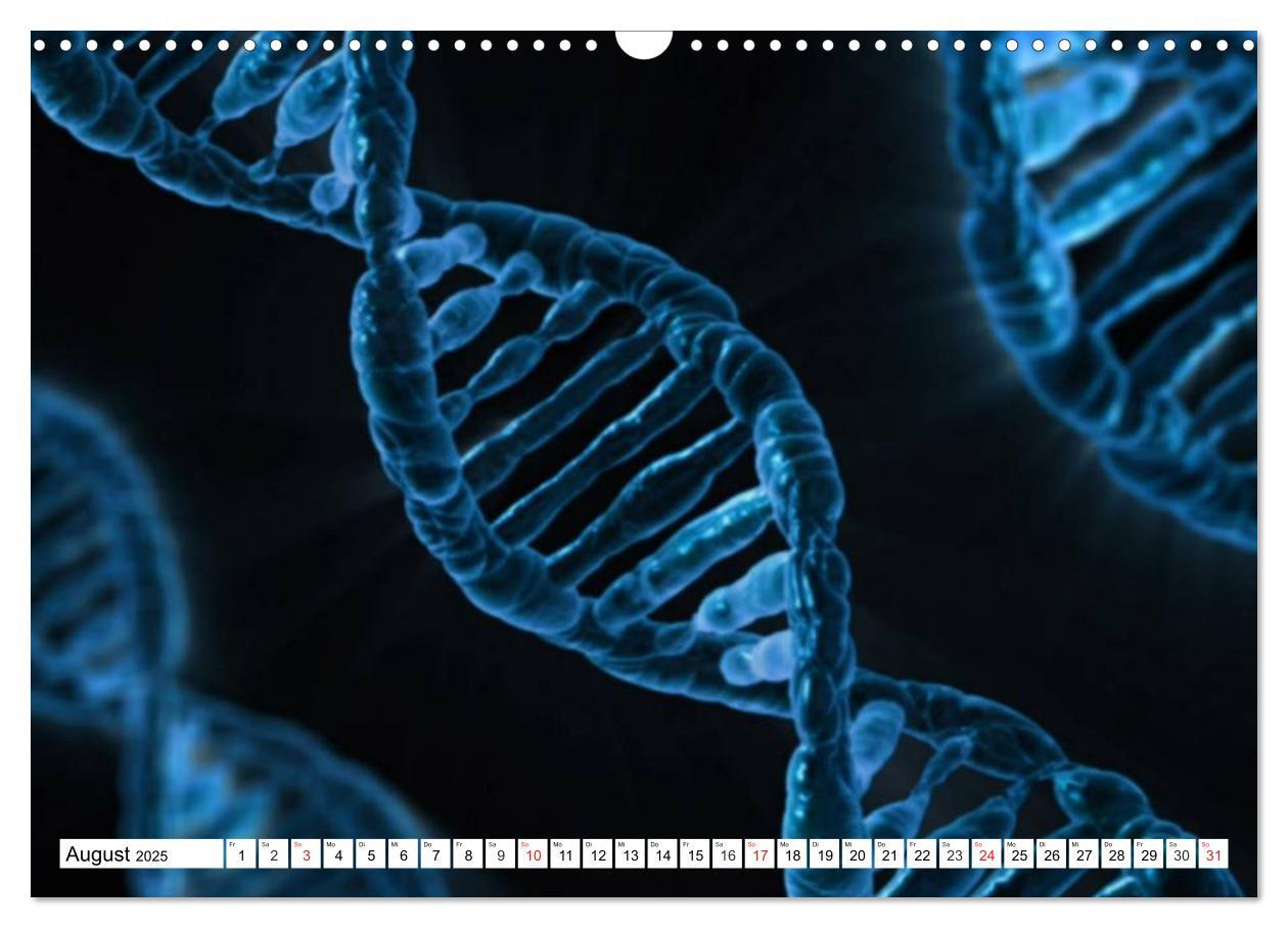 Bild: 9783435483853 | Mikrobiologie. Mikroorganismen, Genetik und Zellen (Wandkalender...