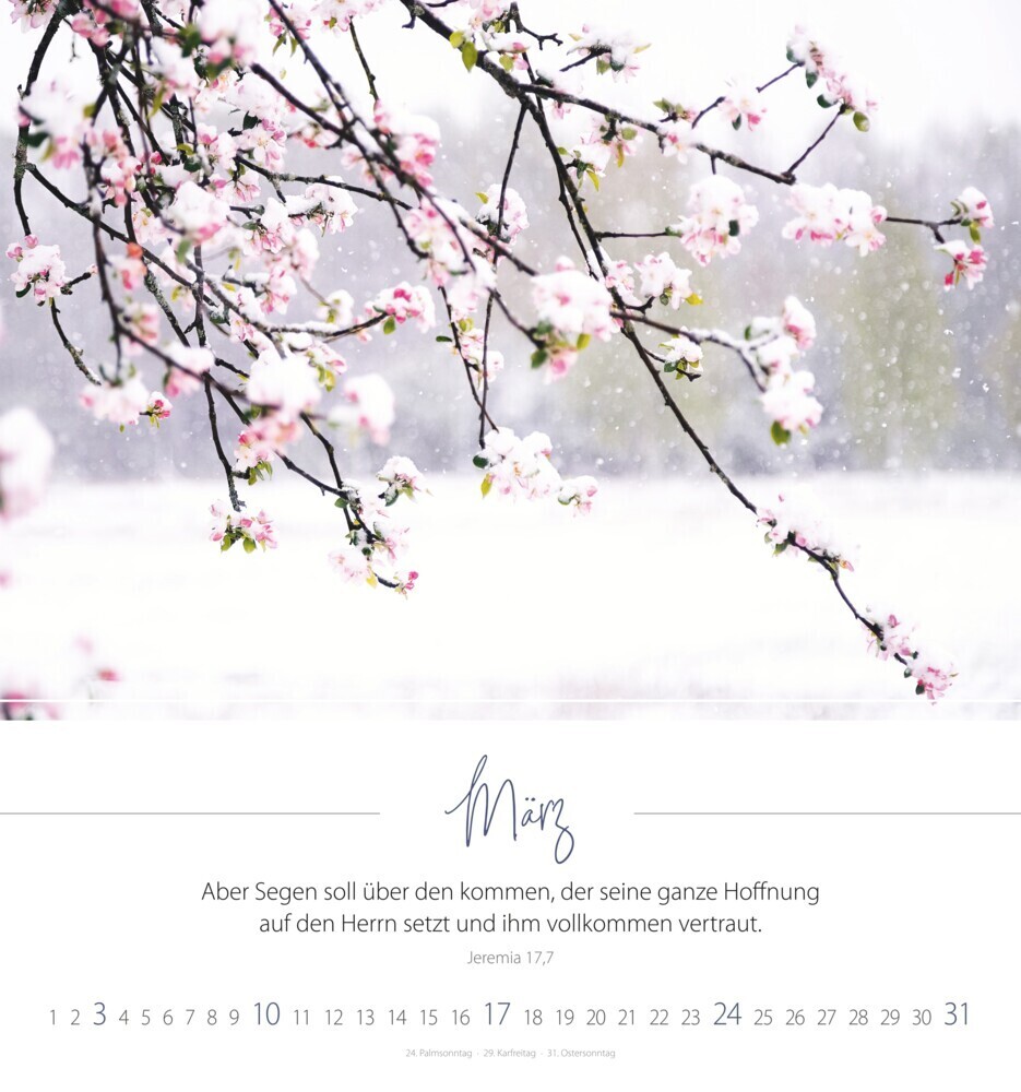 Bild: 9783986950064 | Ein Himmel voller Segen 2024 - Wandkalender | Kalender | 14 S. | 2024