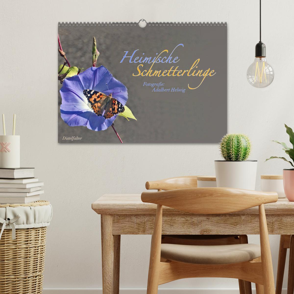 Bild: 9783435728855 | Heimische Schmetterlinge (Wandkalender 2025 DIN A3 quer), CALVENDO...