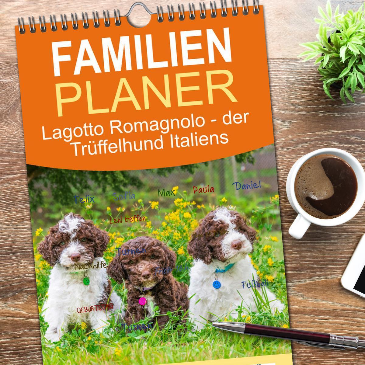 Bild: 9783457091647 | Familienplaner 2025 - Lagotto Romagnolo - der Trüffelhund Italiens...