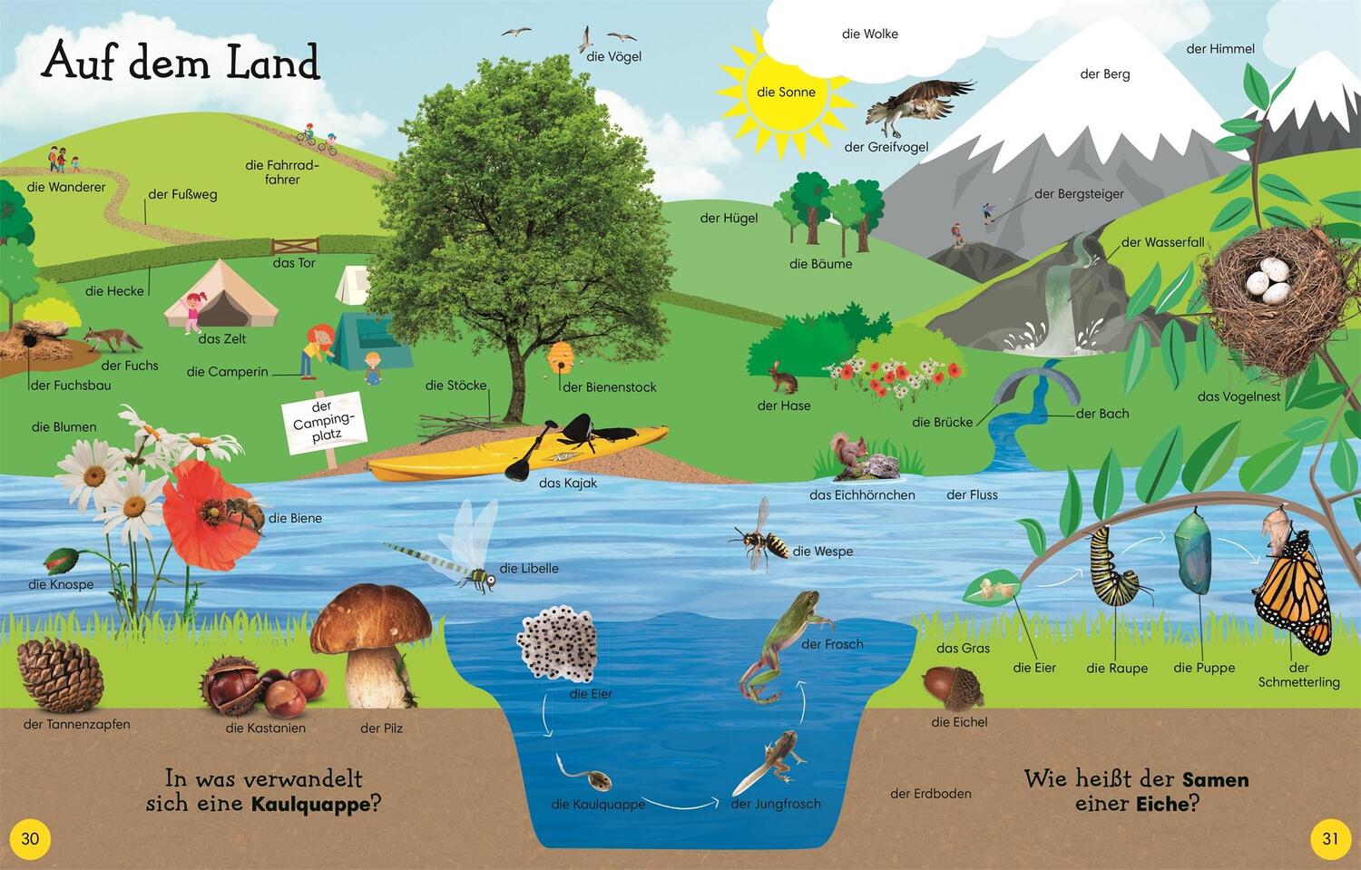 Bild: 9783831039371 | 1000 erste Wörter | Mein Bildwörterbuch für den Kindergarten | Bruns