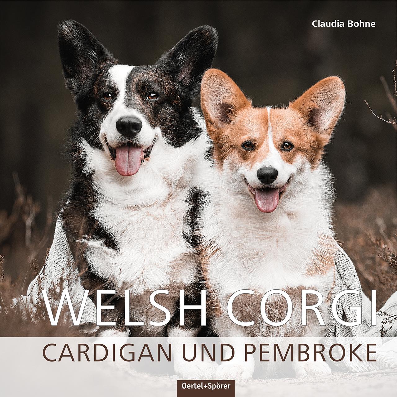 Cover: 9783965550698 | Welsh Corgi | Cardigan und Pembroke | Claudia Bohne | Buch | Deutsch