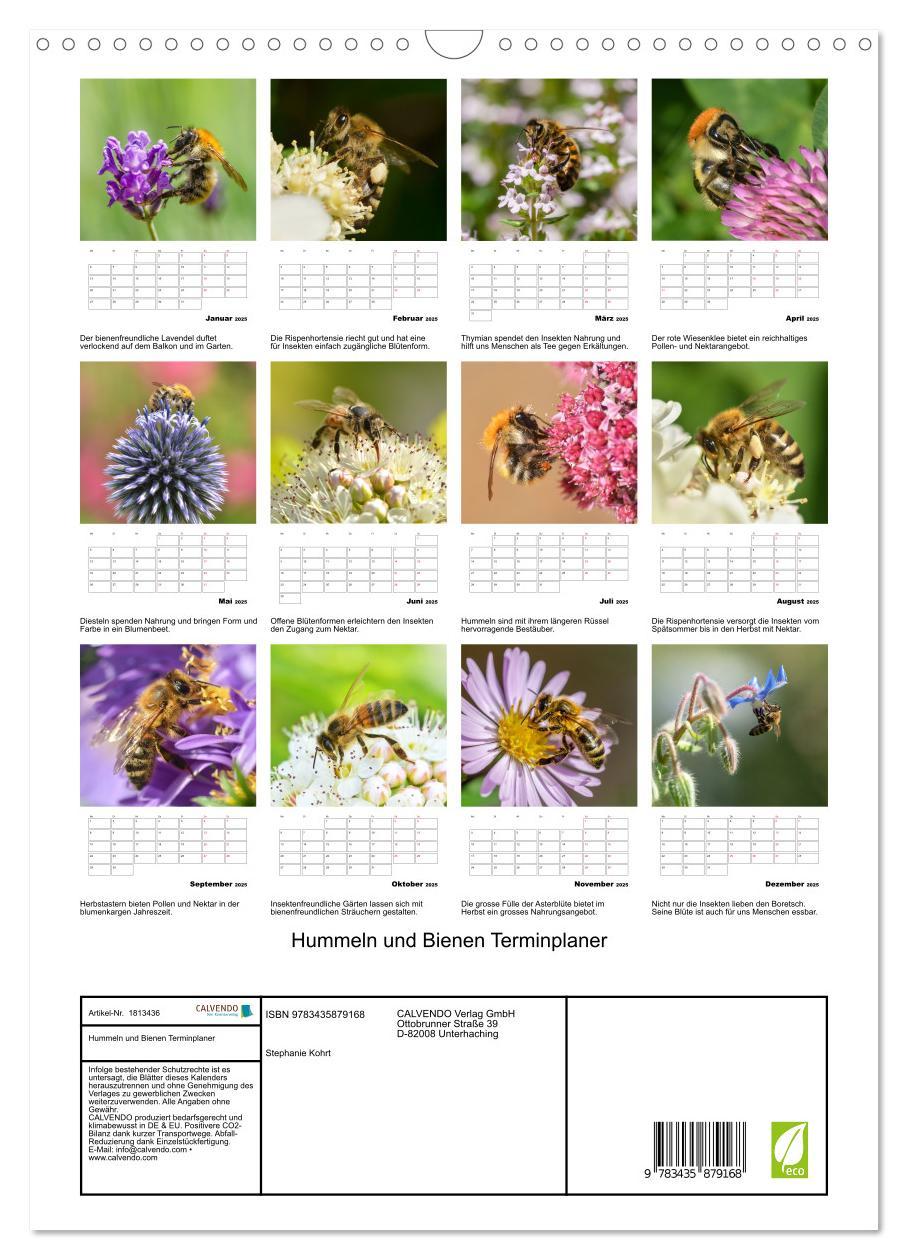 Bild: 9783435879168 | Hummeln und Bienen Terminplaner (Wandkalender 2025 DIN A3 hoch),...