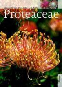 Cover: 9783800138692 | Proteaceae | Andreas Julius Grams | Buch | Pflanzen-Monographien