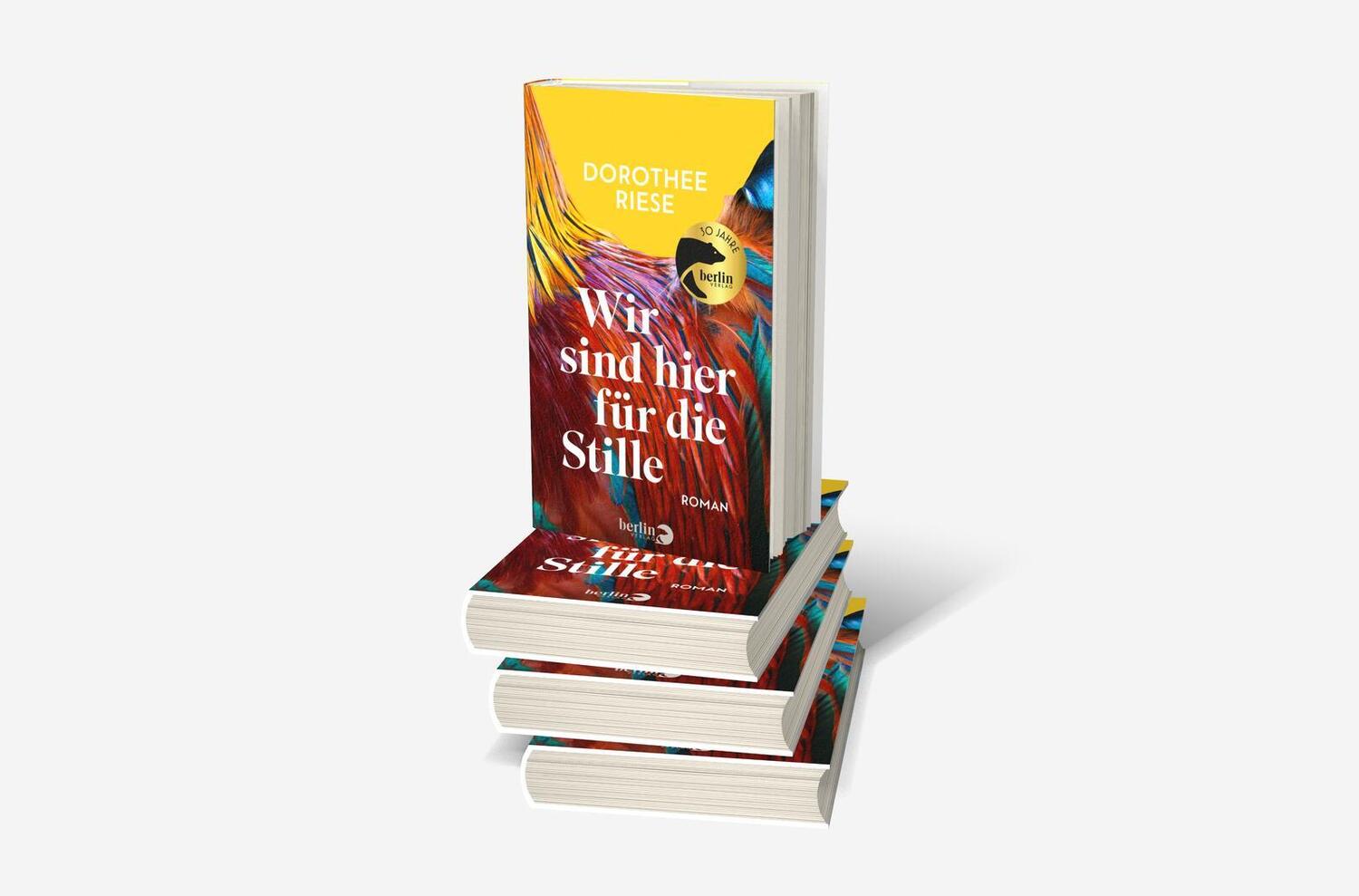 Bild: 9783827014931 | Wir sind hier für die Stille | Dorothee Riese | Buch | 240 S. | 2024