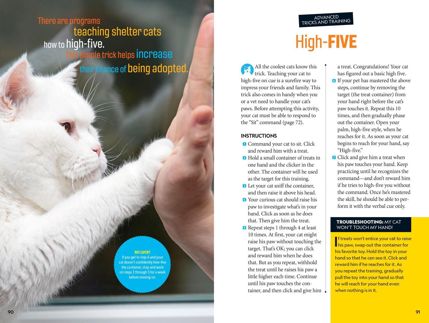 Bild: 9781426338465 | Pounce! a How to Speak Cat Training Guide | Gary Weitzman | Buch