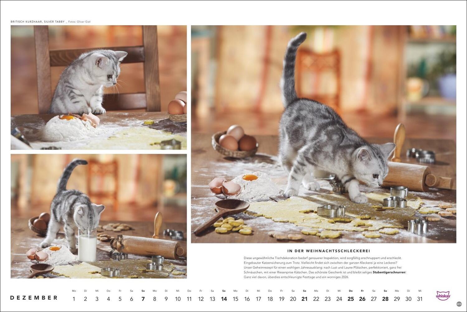 Bild: 9783756404971 | Whiskas Katzenkalender 2025 | Heye | Kalender | Spiralbindung | 14 S.