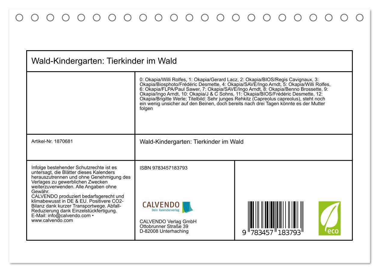 Bild: 9783457183793 | Wald-Kindergarten: Tierkinder im Wald (Tischkalender 2025 DIN A5...