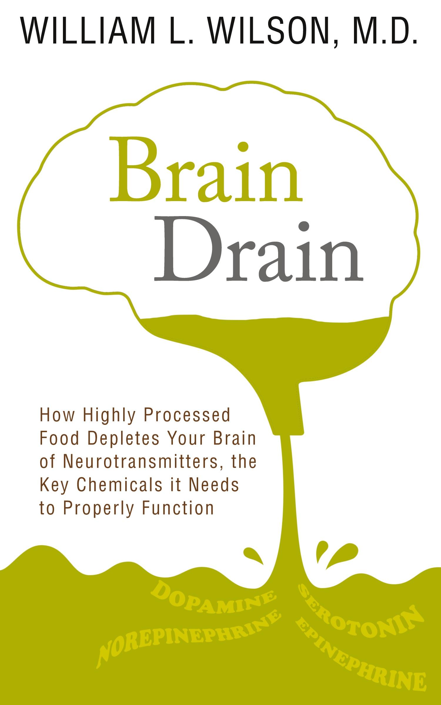 Cover: 9781733818605 | Brain Drain | William Wilson | Taschenbuch | Englisch | 2019