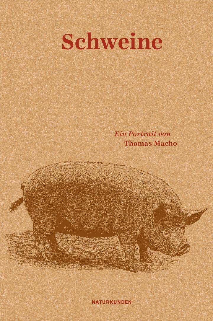 Cover: 9783957570994 | Schweine | Ein Portrait | Thomas Macho | Buch | Naturkunden | Deutsch
