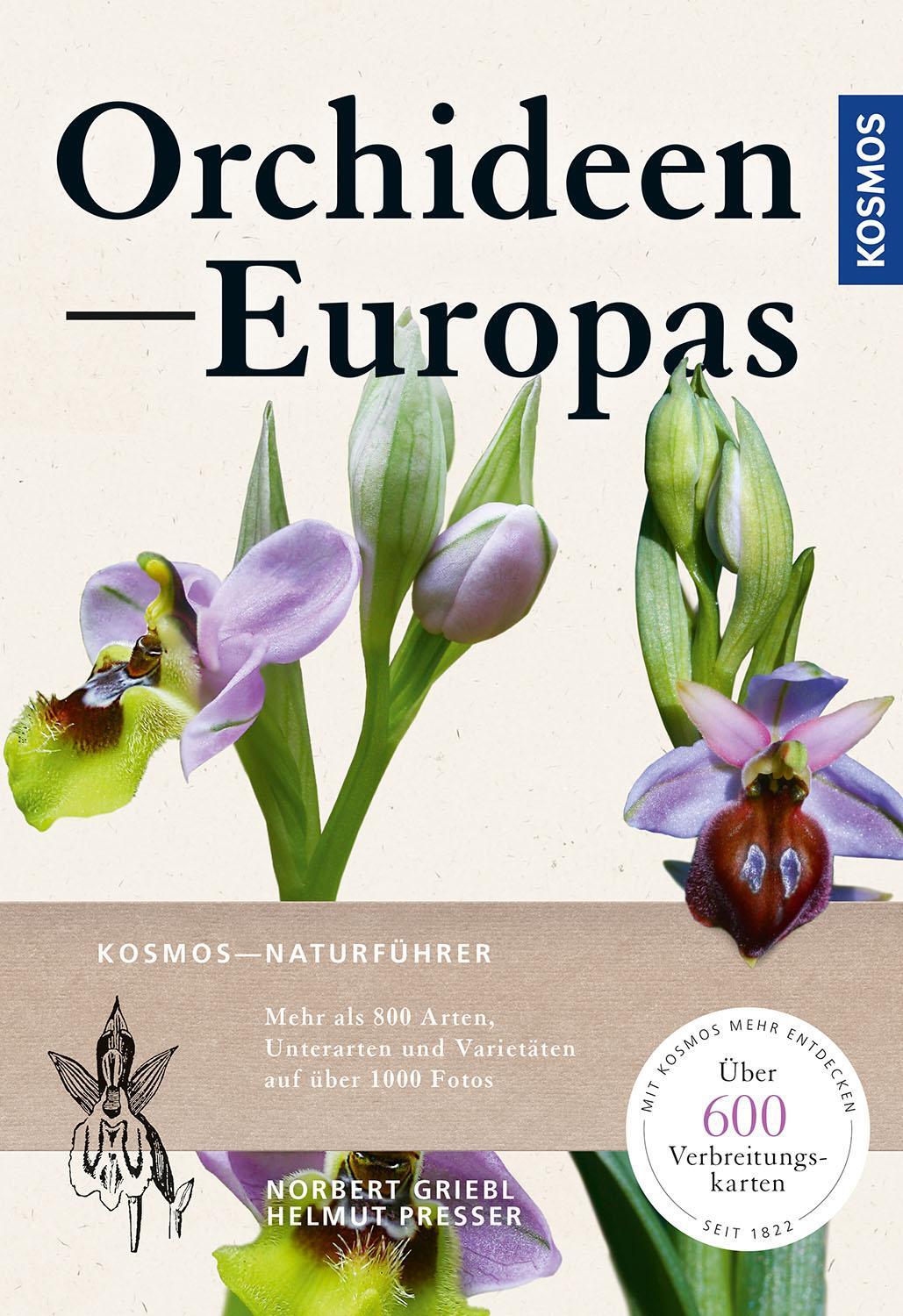Cover: 9783440171004 | Orchideen Europas | Norbert Griebl (u. a.) | Taschenbuch | Deutsch