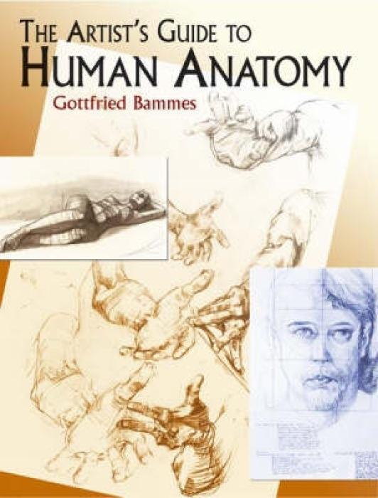 Cover: 9780486436418 | The Artist's Guide to Human Anatomy | Gottfried Bammes | Taschenbuch