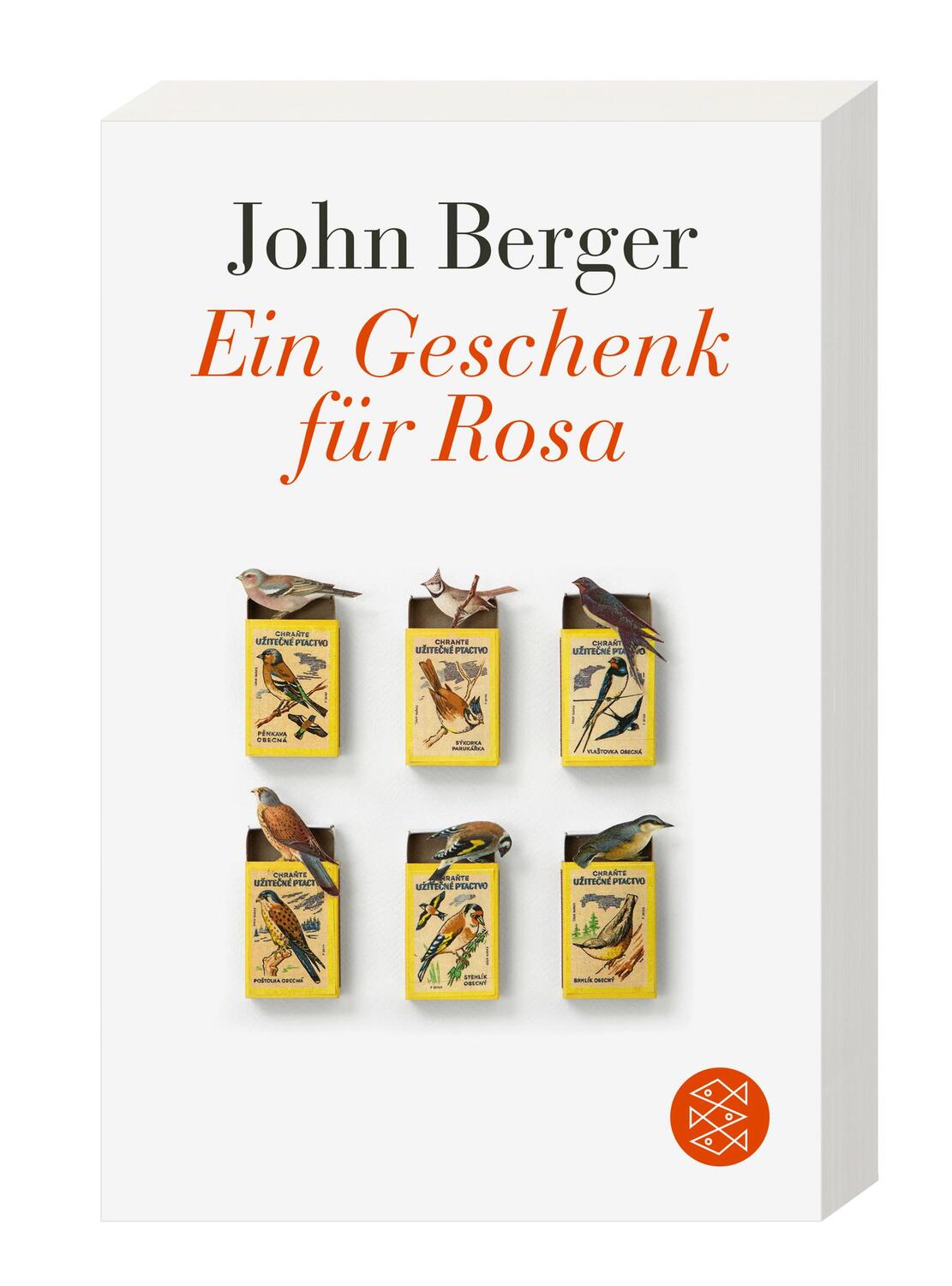 Bild: 9783596701063 | Ein Geschenk für Rosa | John Berger | Taschenbuch | Deutsch | 2022