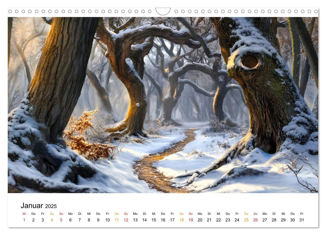 Bild: 9783457224786 | Mystik der Wälder (Wandkalender 2025 DIN A3 quer), CALVENDO...