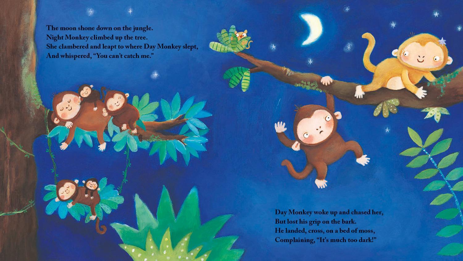 Bild: 9780755503674 | Night Monkey, Day Monkey | Julia Donaldson | Buch | Papp-Bilderbuch