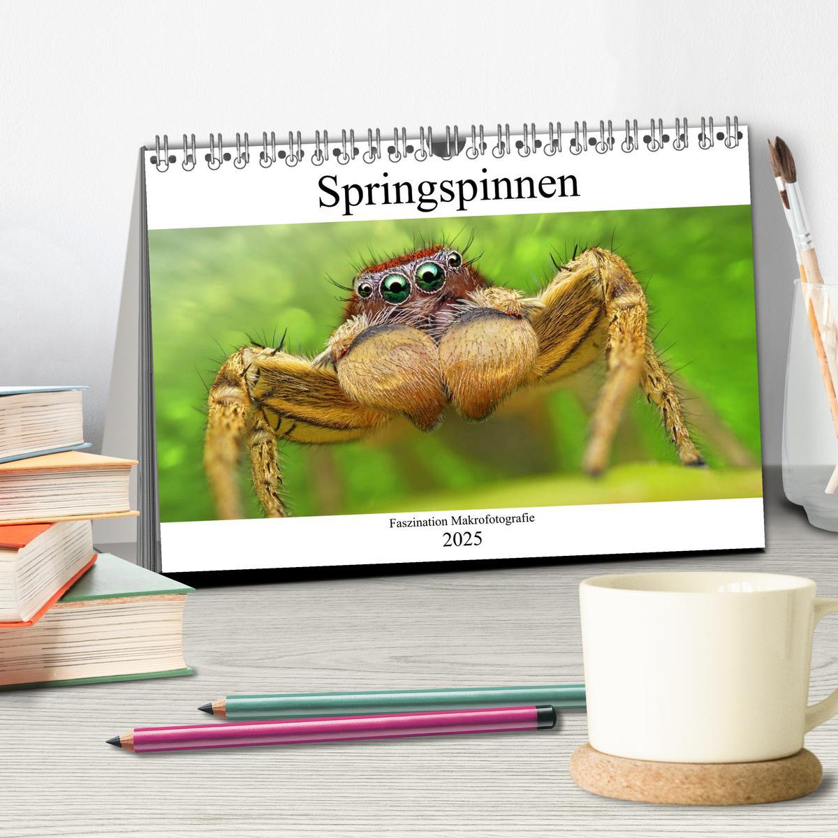 Bild: 9783435344802 | Faszination Makrofotografie: Springspinnen (Tischkalender 2025 DIN...