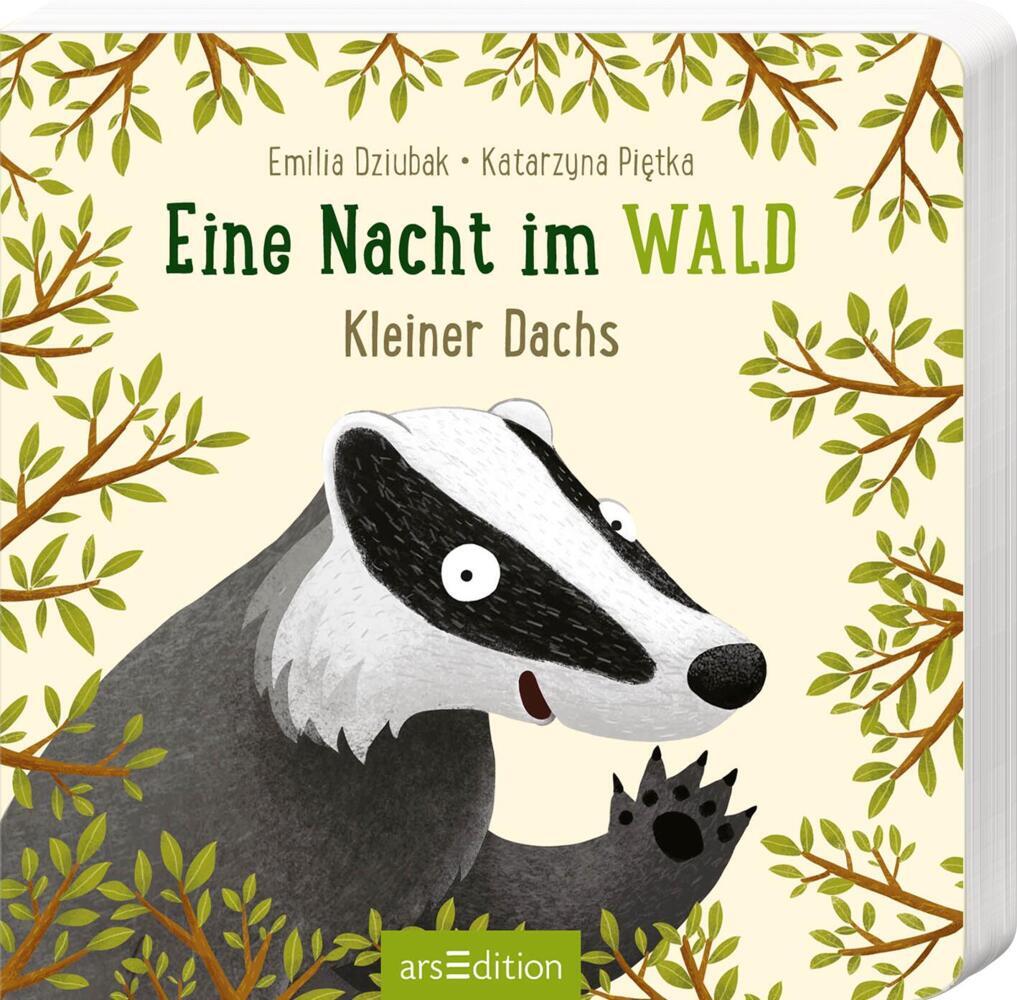 Cover: 9783845851198 | Eine Nacht im Wald - Kleiner Dachs | Emilia Dziubak (u. a.) | Buch