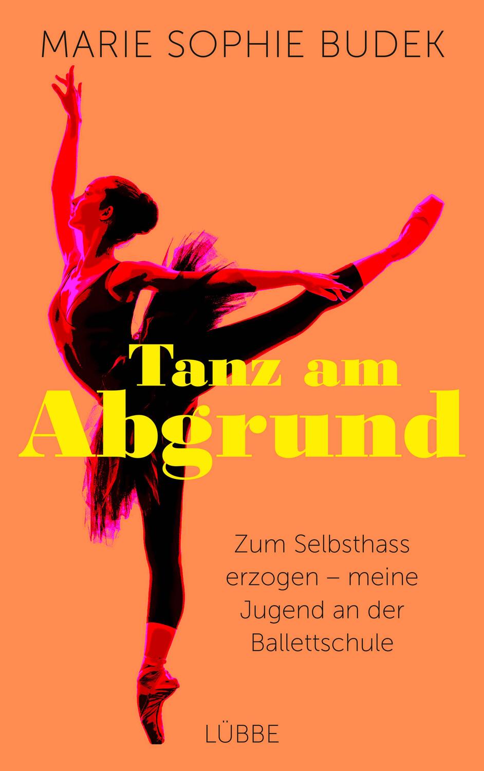 Cover: 9783431050219 | Tanz am Abgrund | Marie Sophie Budek | Taschenbuch | Deutsch | 2021