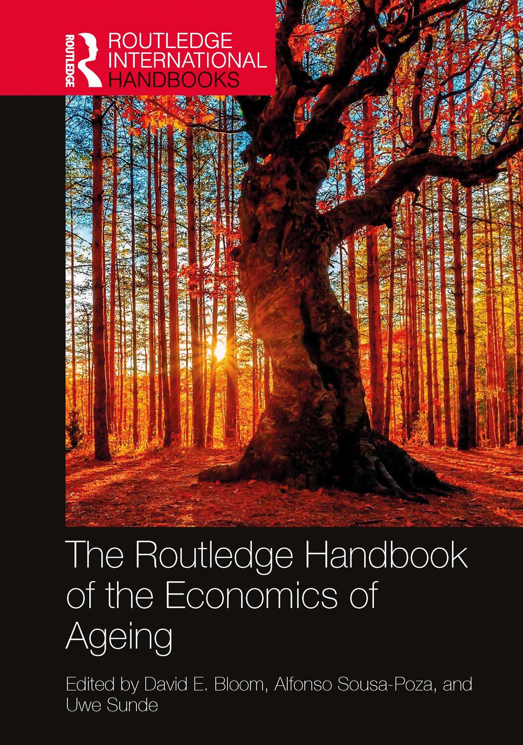 Cover: 9780367713324 | The Routledge Handbook of the Economics of Ageing | Buch | Englisch