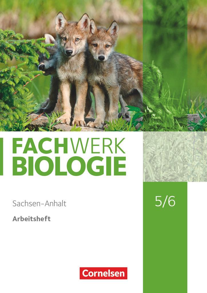 Cover: 9783060139071 | Fachwerk Biologie 5./6. Schuljahr. Sachsen-Anhalt - Arbeitsheft | Buch