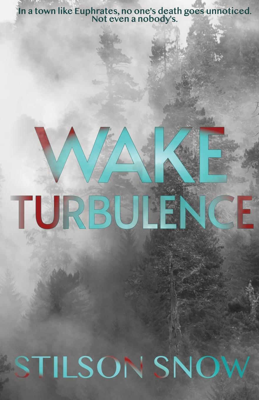 Cover: 9798988254409 | Wake Turbulence | Stilson Snow | Taschenbuch | Paperback | Englisch