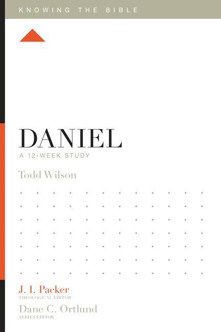 Cover: 9781433543425 | Daniel: A 12-Week Study | Todd Wilson | Taschenbuch | Englisch | 2015