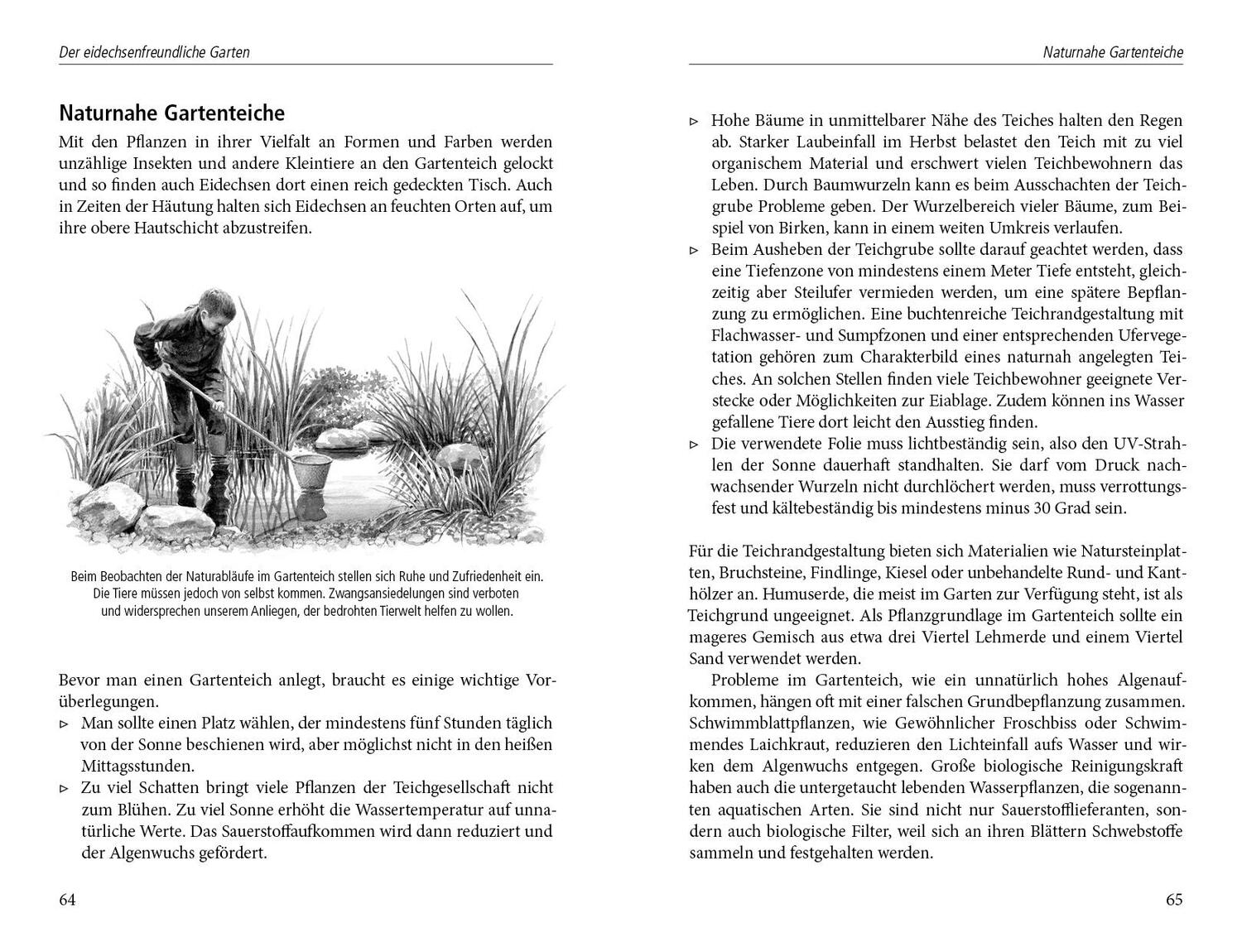 Bild: 9783895663345 | Ein Garten für Eidechsen | Wolf Richard Günzel | Buch | 140 S. | 2014