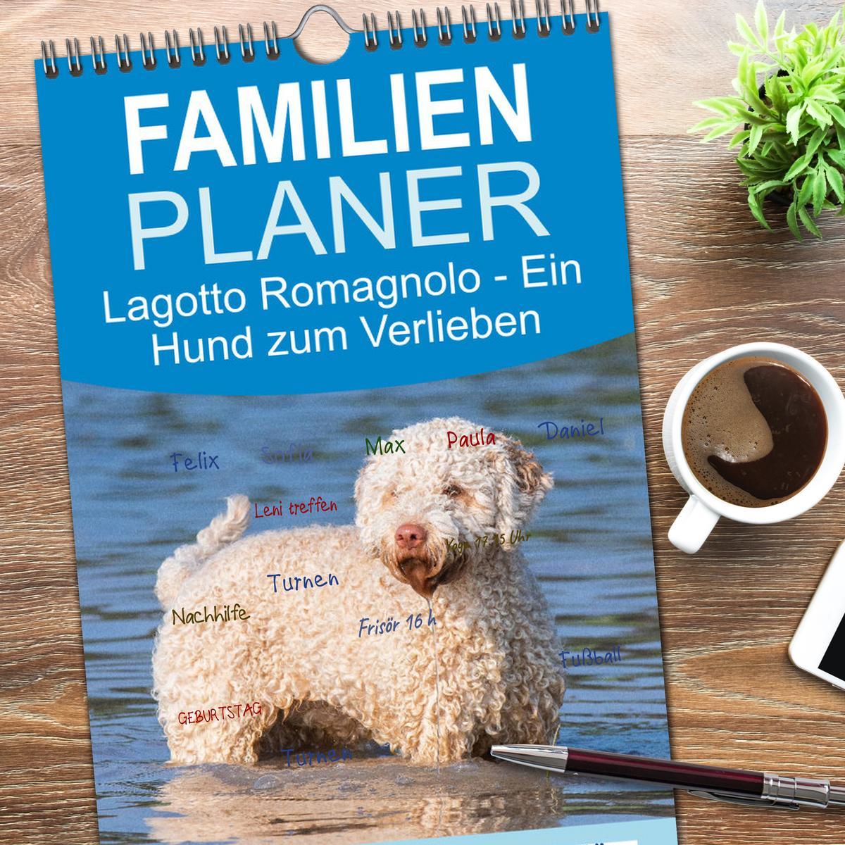 Bild: 9783457115169 | Familienplaner 2025 - Lagotto Romagnolo - Ein Hund zum Verlieben...