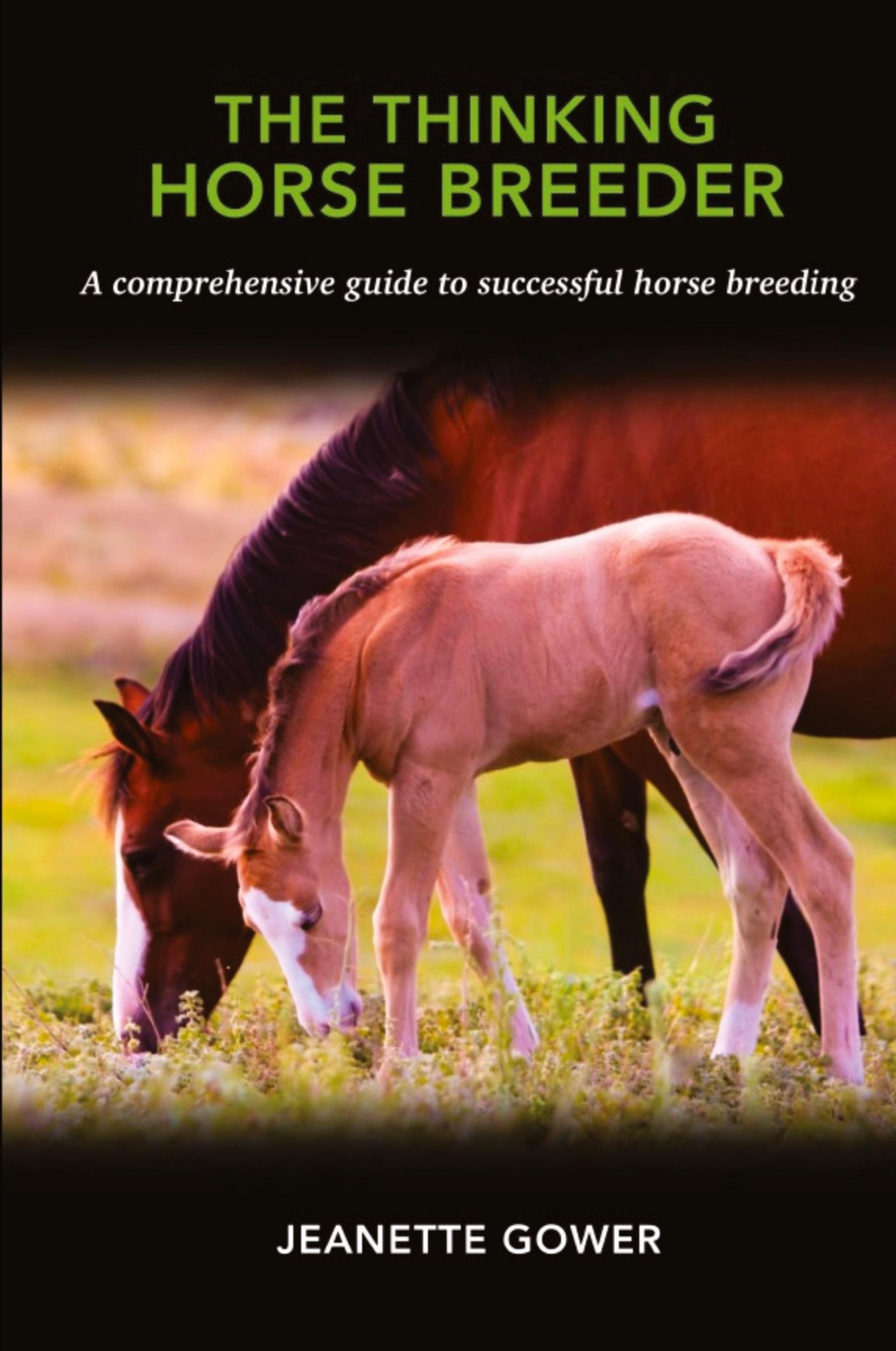 Cover: 9781959555483 | The Thinking Horse Breeder | Jeanette Gower | Taschenbuch | Englisch