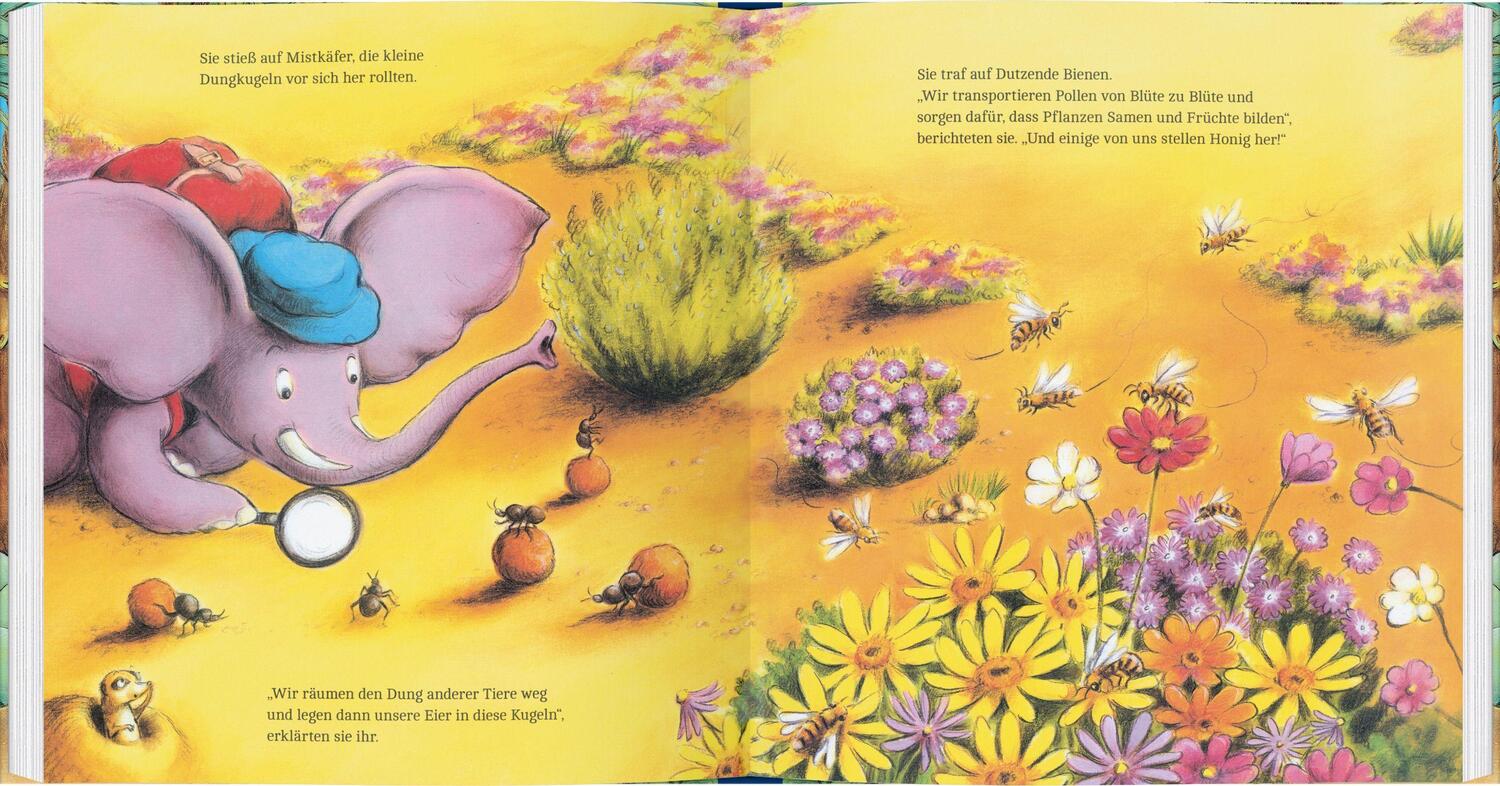 Bild: 9783836962186 | Elefantin Elfi, die Insektenforscherin | Sharon Rentta | Buch | 32 S.