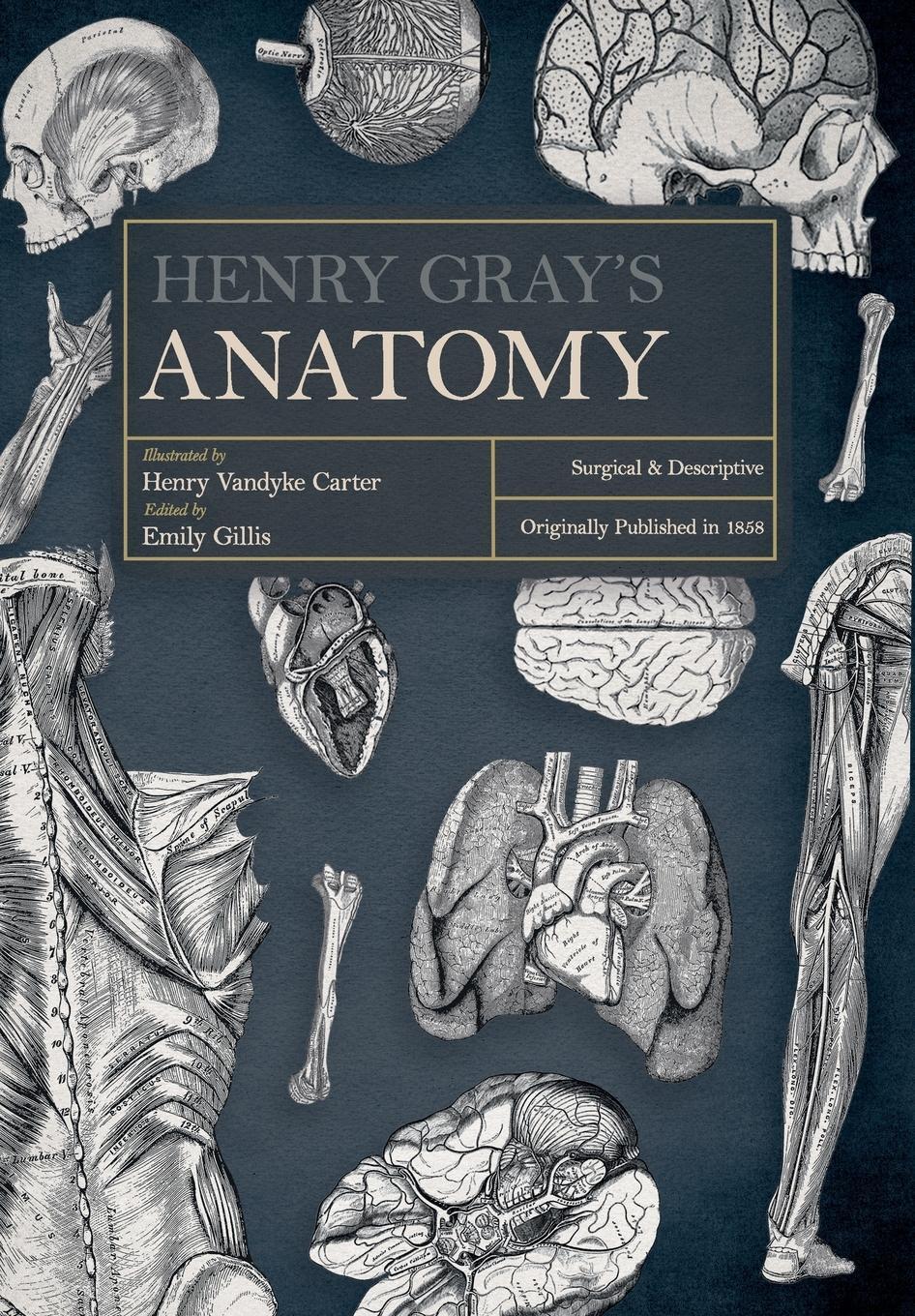Cover: 9781528773416 | Henry Gray's Anatomy | Descriptive and Surgical | Henry Gray | Buch