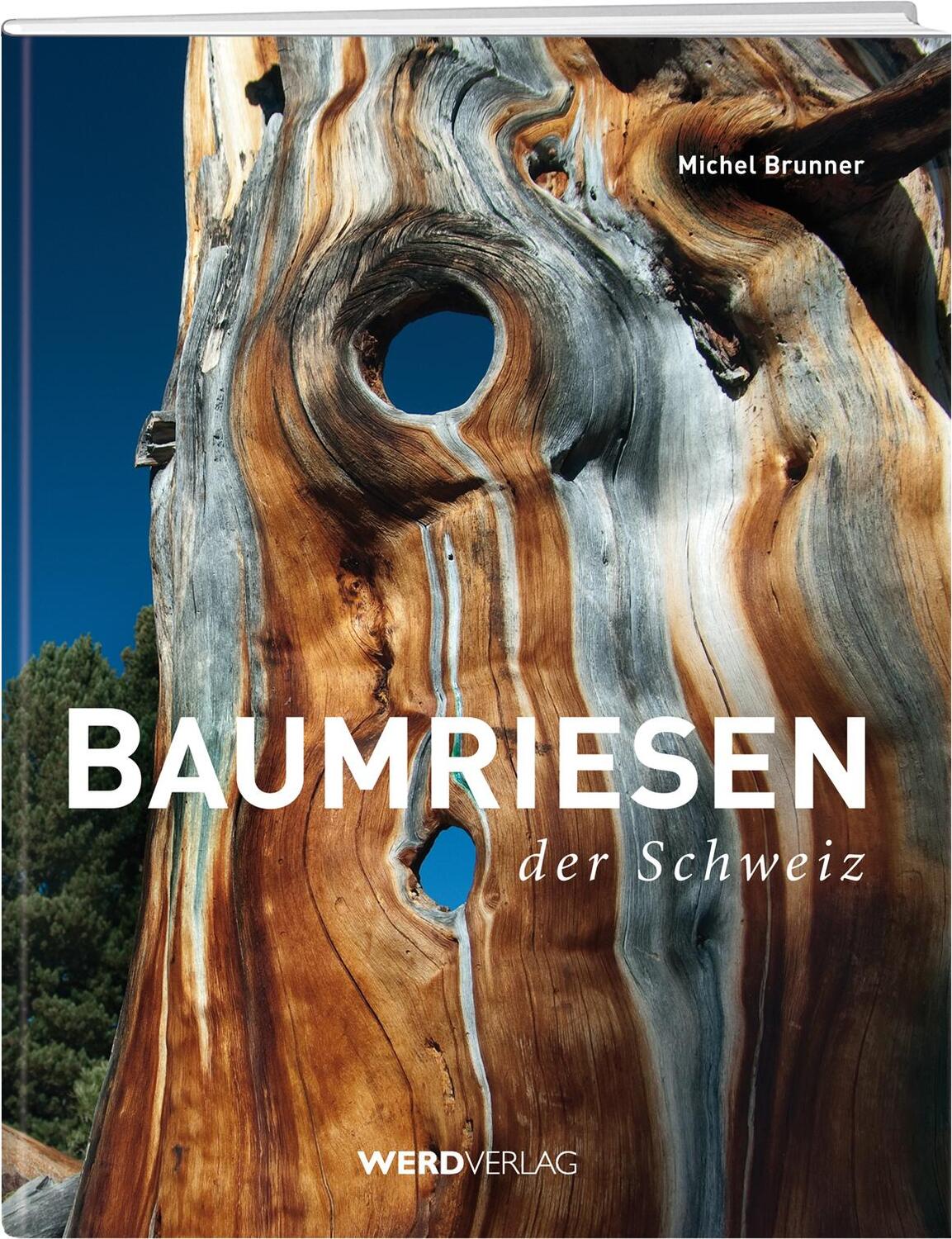 Cover: 9783859326293 | Baumriesen der Schweiz | Michel Brunner | Buch | Deutsch | 2009