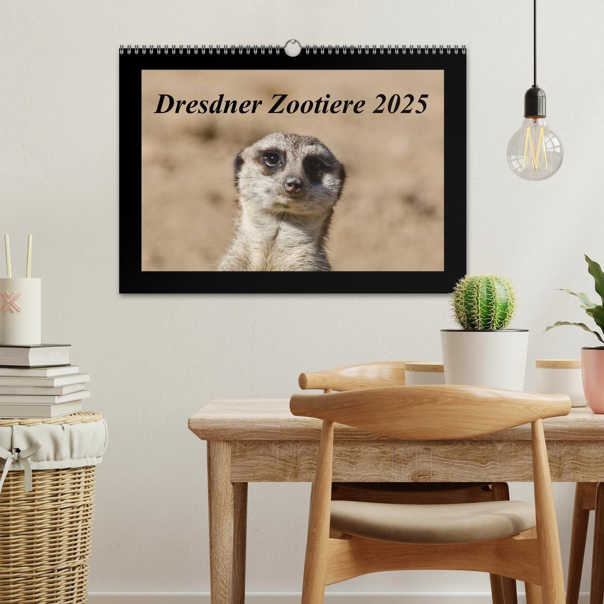 Bild: 9783435666355 | Dresdner Zootiere 2025 (Wandkalender 2025 DIN A3 quer), CALVENDO...