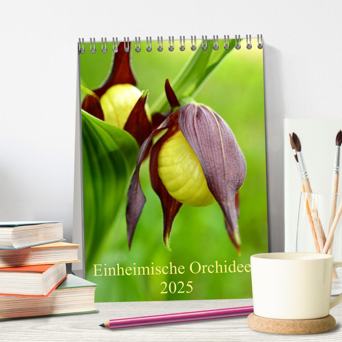 Bild: 9783457079850 | Einheimische Orchideen (Tischkalender 2025 DIN A5 hoch), CALVENDO...