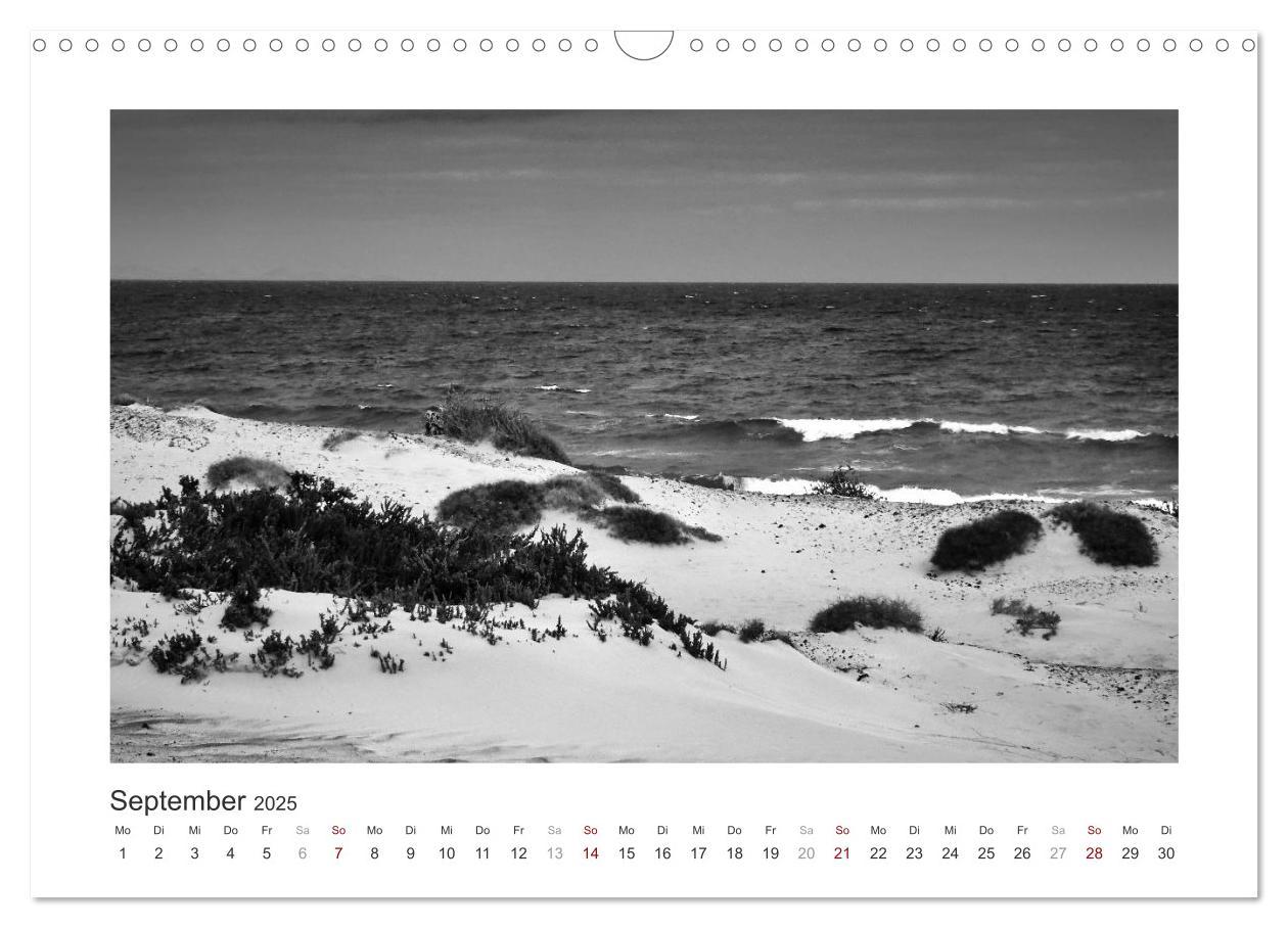 Bild: 9783435291328 | Monochrom Meer (Wandkalender 2025 DIN A3 quer), CALVENDO...