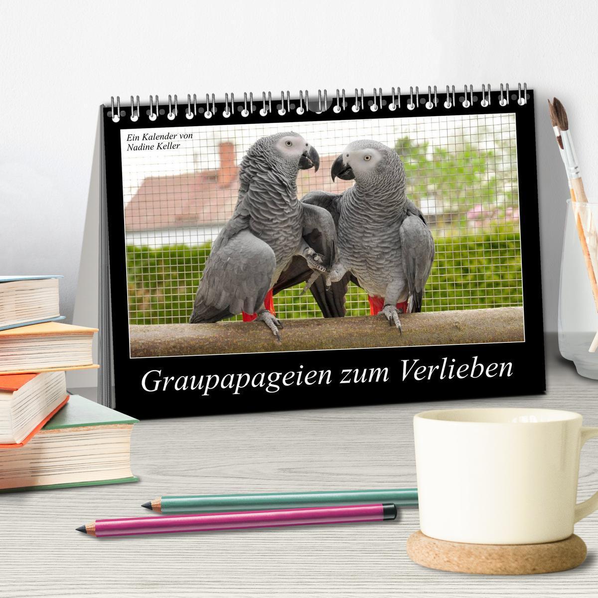 Bild: 9783435623754 | Graupapageien zum Verlieben (Tischkalender 2025 DIN A5 quer),...