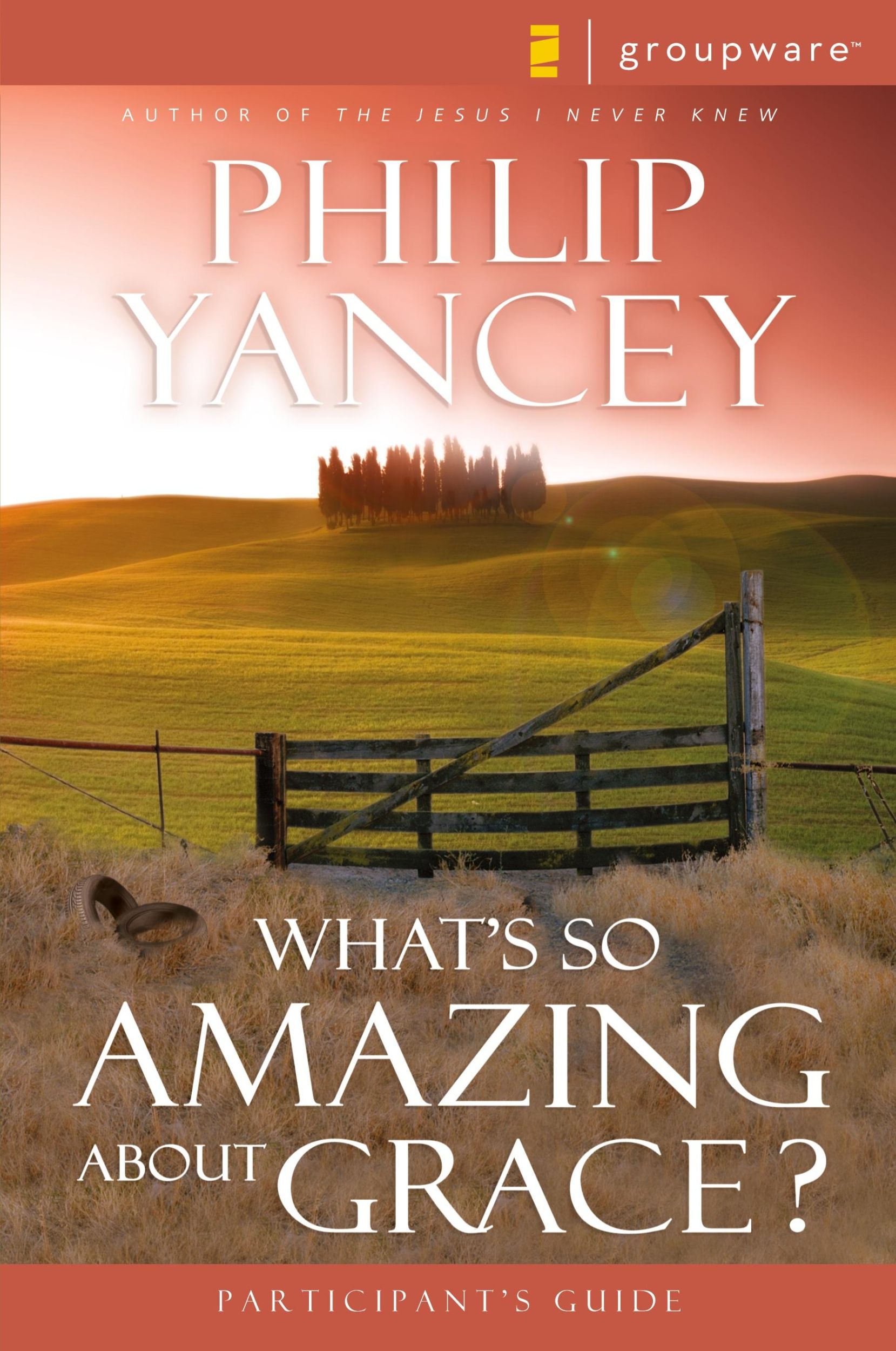 Cover: 9780310233251 | What's So Amazing About Grace? | Philip Yancey | Taschenbuch | 2000