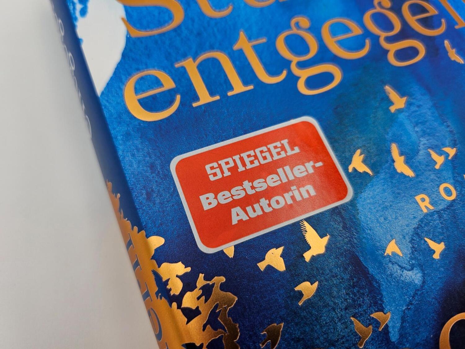 Bild: 9783492071819 | Dem Sturm entgegen | Cecelia Ahern | Buch | 448 S. | Deutsch | 2024