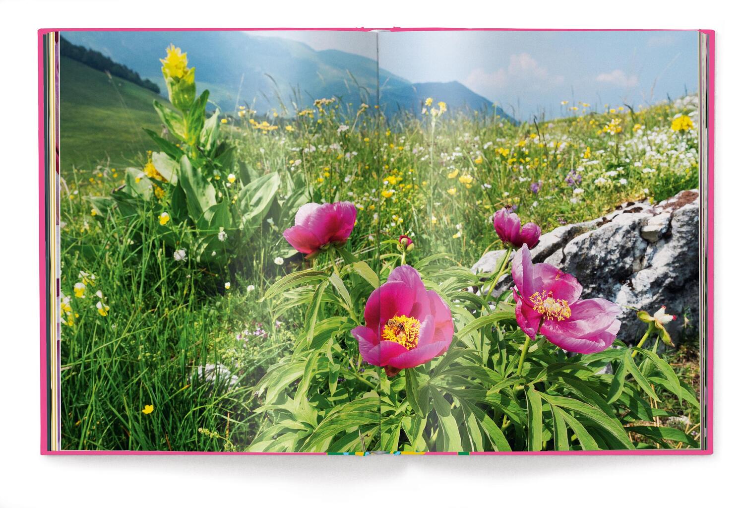 Bild: 9783961715503 | Floramour: Peonies | Anja Klaffenbach | Buch | 208 S. | Deutsch | 2024