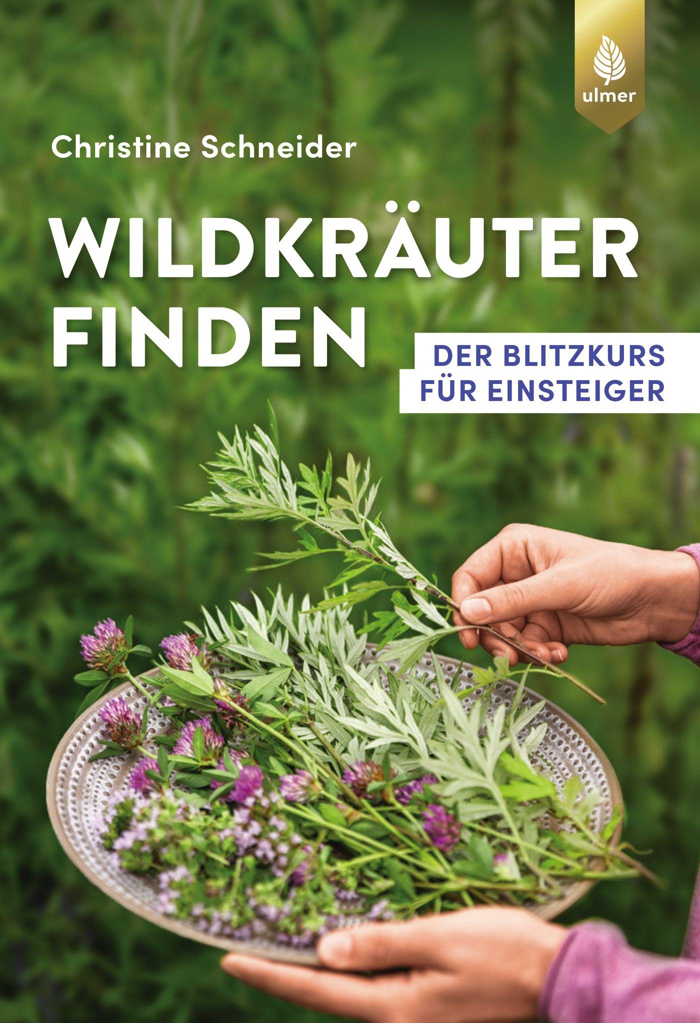 Cover: 9783818612696 | Wildkräuter finden | Der Blitzkurs für Einsteiger | Schneider | Buch