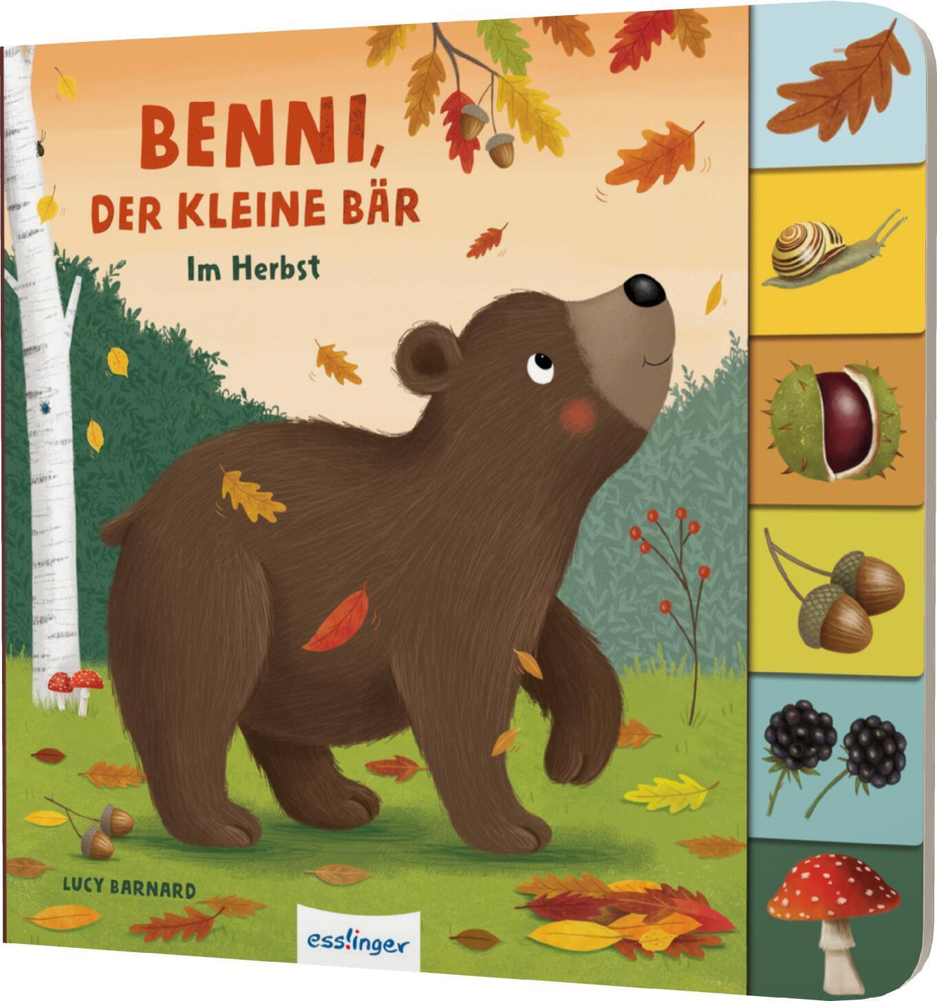 Cover: 9783480238200 | Mein erstes Jahreszeitenbuch: Benni, der kleine Bär | Anja Kiel | Buch