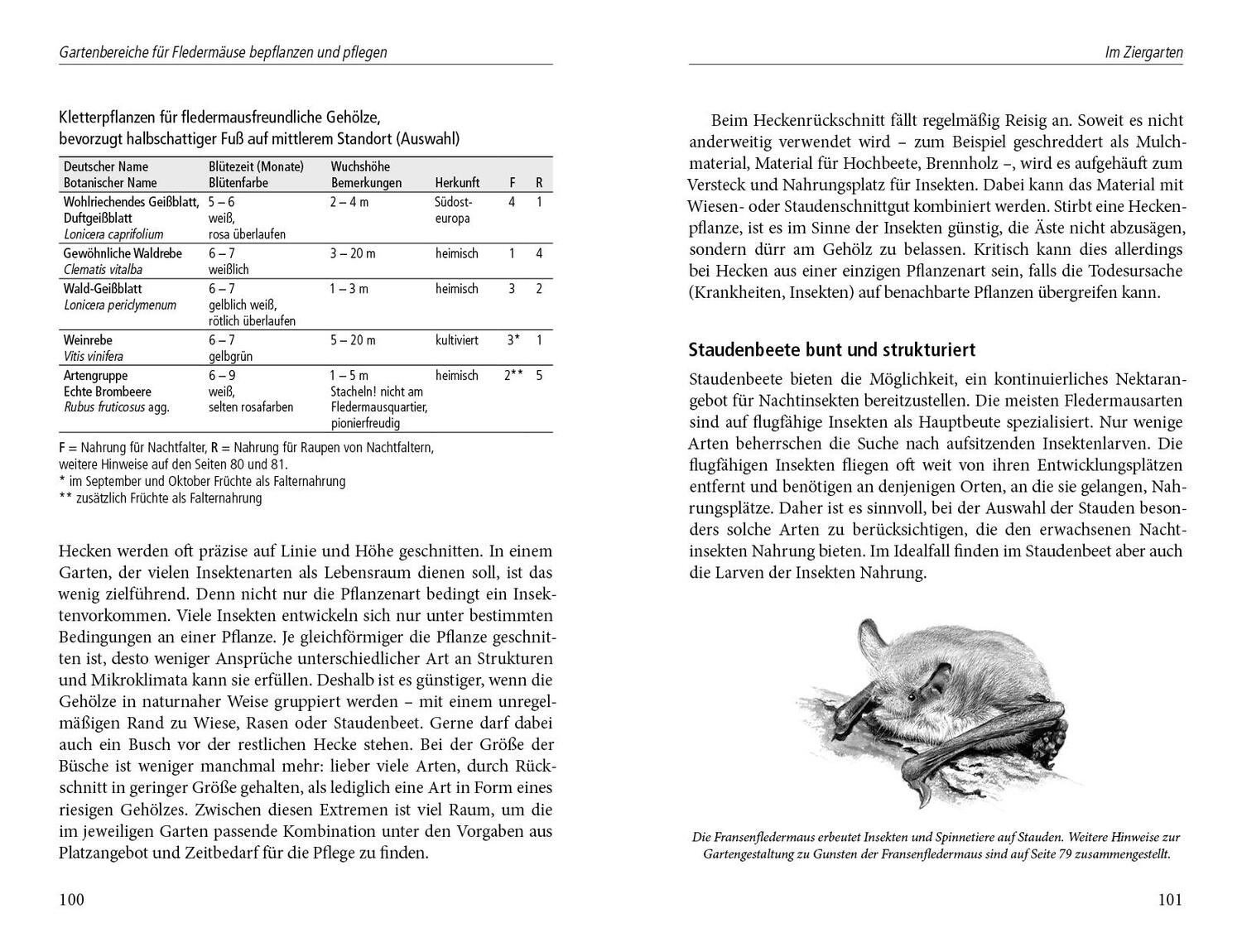 Bild: 9783895663116 | Ein Garten für Fledermäuse | Dirk A. Diehl | Buch | 162 S. | Deutsch