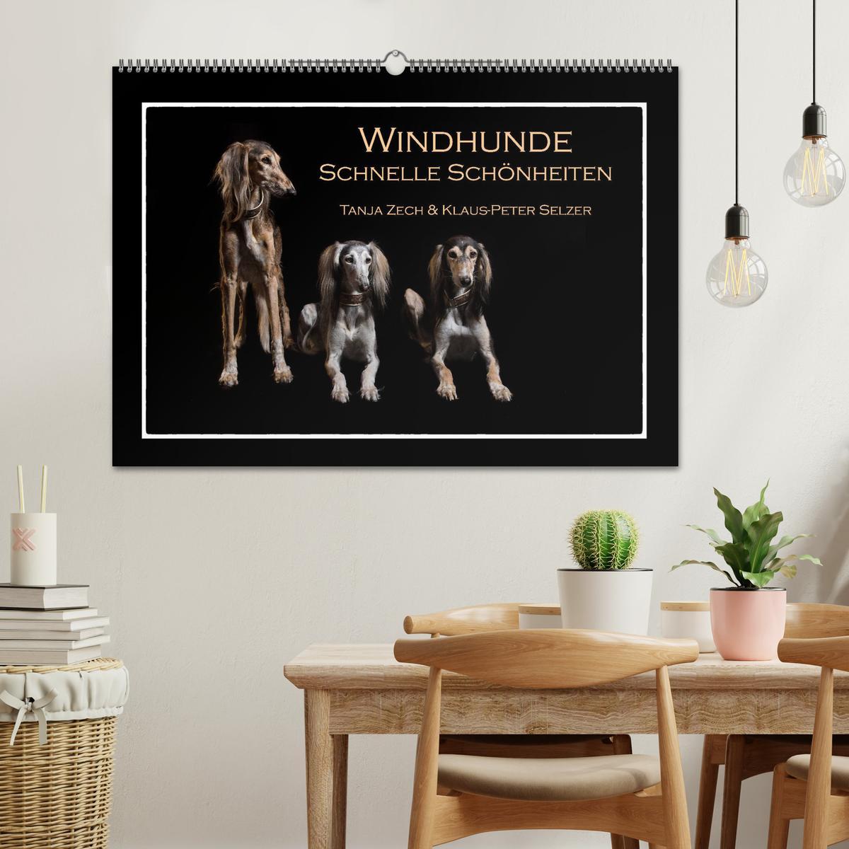 Bild: 9783435176809 | Windhunde - Schnelle Schönheiten (Wandkalender 2025 DIN A2 quer),...