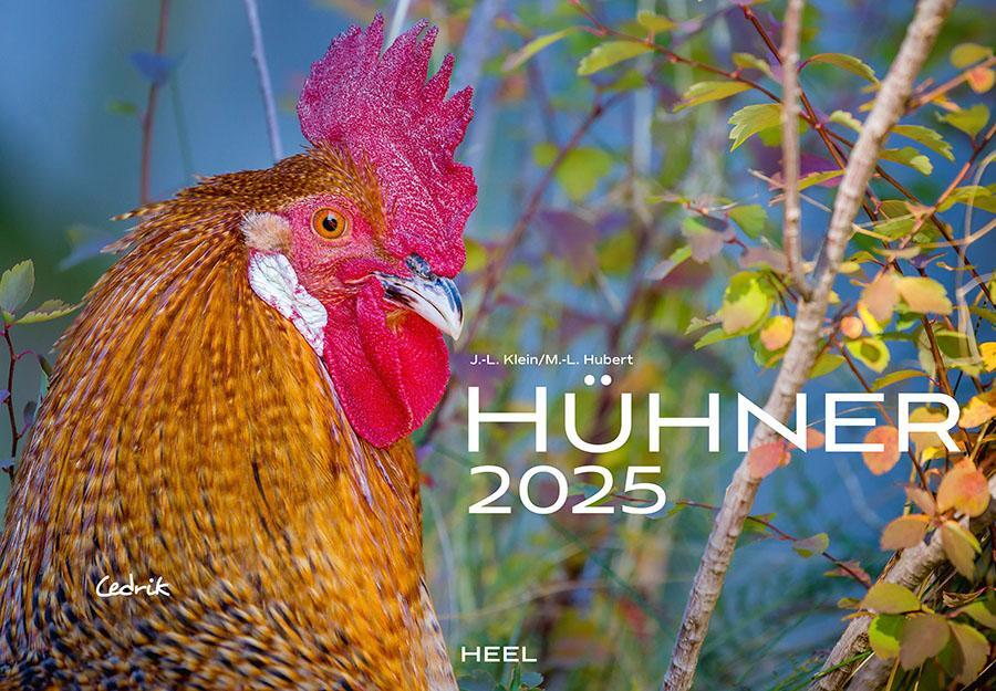Cover: 9783966648202 | Hühner Kalender 2025 | Der Tierkalender mit den charmanten Namen
