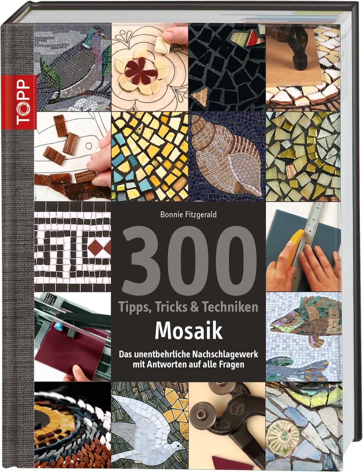 Cover: 9783772458521 | 300 Tipps, Tricks &amp; Techniken Mosaik | Bonnie Fitzgerald | Buch | 2014
