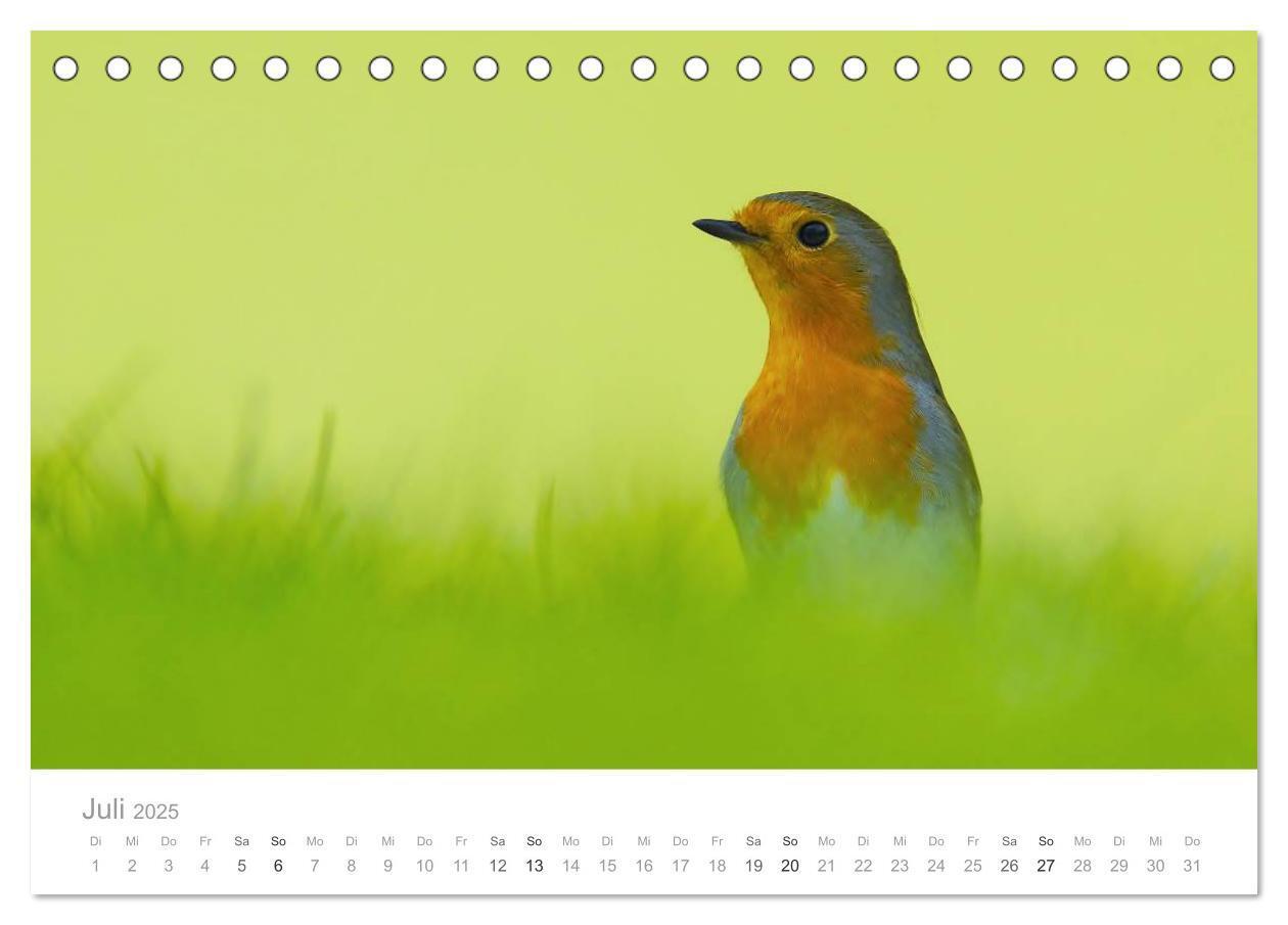 Bild: 9783435749720 | Vögel in unseren Gärten 2025 (Tischkalender 2025 DIN A5 quer),...